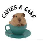 Cavies and cake therapy sessions in Fakenham
