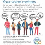 NSFT Your Voice Matters Young Carers and Young Adult Carers listening group.